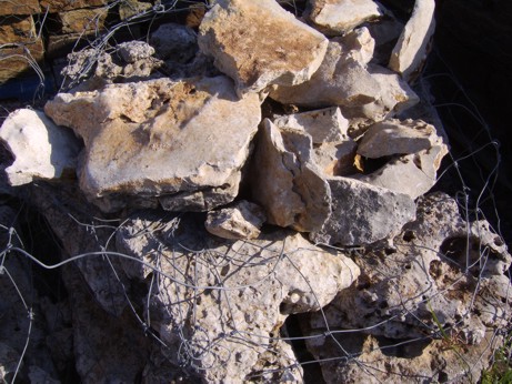 Holey Limestone (Cheese Rock)